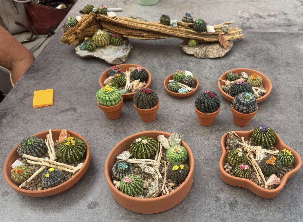 Cactus Garden Making
